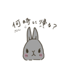 親から子供に送りたいうさぎのスタンプ（個別スタンプ：16）