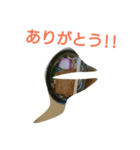 うどんちゃん スタンプ（個別スタンプ：6）