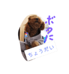 ボクの言葉（個別スタンプ：3）