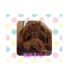 ボクの言葉（個別スタンプ：4）