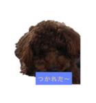 ボクの言葉（個別スタンプ：13）