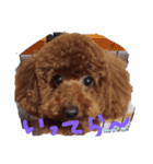 ボクの言葉（個別スタンプ：14）