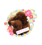 ボクの言葉（個別スタンプ：17）