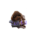 ボクの言葉（個別スタンプ：23）