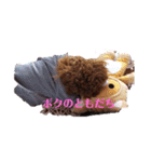 ボクの言葉（個別スタンプ：24）