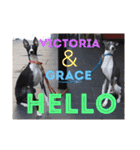 イタグレVictoria♡Grace（個別スタンプ：1）