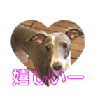 イタグレVictoria♡Grace（個別スタンプ：4）