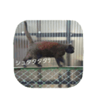ネコトイッショ（個別スタンプ：9）
