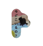 ネコトイッショ（個別スタンプ：14）