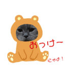 にゃんずの日々☆（個別スタンプ：3）