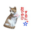 にゃんずの日々☆（個別スタンプ：8）