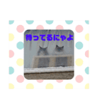 にゃんずの日々☆（個別スタンプ：22）