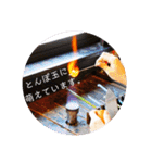 『とんぼ玉＆カフェ 小さな探究室』その2（個別スタンプ：5）