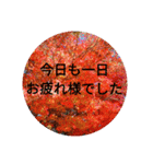 美感（個別スタンプ：2）
