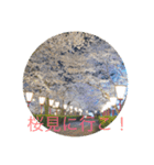 どっか行こうよ！（個別スタンプ：1）