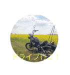 どっか行こうよ！（個別スタンプ：3）