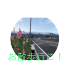 どっか行こうよ！（個別スタンプ：5）