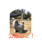 どっか行こうよ！（個別スタンプ：6）