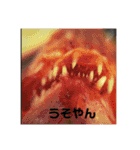 じぶん用スタンプ（個別スタンプ：3）