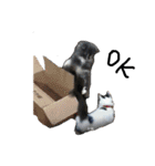じぶん用スタンプ（個別スタンプ：13）