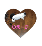 じぶん用スタンプ（個別スタンプ：16）