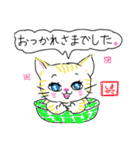 しまゼミ猫スタンプ（個別スタンプ：1）