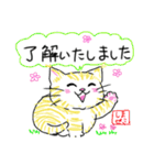 しまゼミ猫スタンプ（個別スタンプ：3）