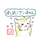 しまゼミ猫スタンプ（個別スタンプ：13）