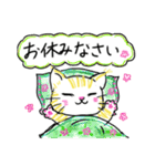 しまゼミ猫スタンプ（個別スタンプ：17）