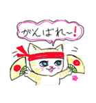 しまゼミ猫スタンプ（個別スタンプ：33）