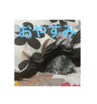 もも姫の日常スタンプ（個別スタンプ：1）