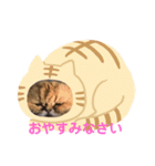 ぷりぷりぷりお2（個別スタンプ：3）
