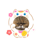 ぷりぷりぷりお2（個別スタンプ：5）