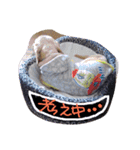 むぅくん、どぉだっっ（個別スタンプ：1）