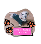 むぅくん、どぉだっっ（個別スタンプ：2）