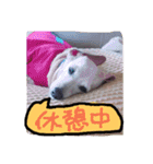 むぅくん、どぉだっっ（個別スタンプ：3）