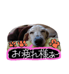 むぅくん、どぉだっっ（個別スタンプ：4）