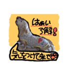 むぅくん、どぉだっっ（個別スタンプ：6）