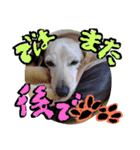むぅくん、どぉだっっ（個別スタンプ：7）
