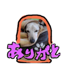 むぅくん、どぉだっっ（個別スタンプ：8）