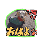 むぅくん、どぉだっっ（個別スタンプ：9）