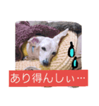 むぅくん、どぉだっっ（個別スタンプ：13）