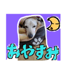 むぅくん、どぉだっっ（個別スタンプ：14）