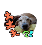 むぅくん、どぉだっっ（個別スタンプ：15）
