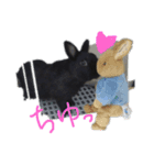 黒うさぎさん（個別スタンプ：1）