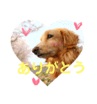 ランスタンプ★（個別スタンプ：2）