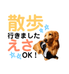 ランスタンプ★（個別スタンプ：3）