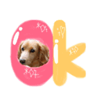 ランスタンプ★（個別スタンプ：10）