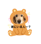 ランスタンプ★（個別スタンプ：13）