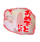 白猫のコノちゃんスタンプ（個別スタンプ：4）